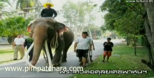 พระเศวตอดุลยเดชพาหนฯ พระเศวตอดุลยเดชพาหนฯ