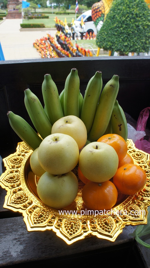ตามรอยพระราชประวัติสมเด็จพระนเรศวรมหาราช