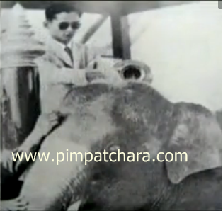 ตามรอยพระราชประวัติสมเด็จพระนเรศวรมหาราช