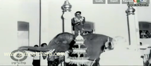พระเศวตอดุลยเดชพาหนฯ พระเศวตอดุลยเดชพาหนฯ
