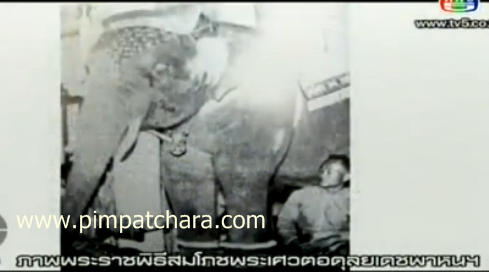 พระเศวตอดุลยเดชพาหนฯ พระเศวตอดุลยเดชพาหนฯ