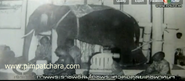 ตามรอยพระราชประวัติสมเด็จพระนเรศวรมหาราช