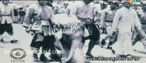 พระเศวตสุรคชาธาร พระเศวตสุรคชาธาร