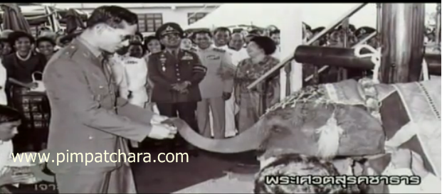 พระเศวตสุรคชาธาร พระเศวตสุรคชาธาร