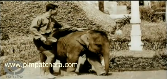 พระเศวตสุรคชาธาร. พระเศวตสุรคชาธาร.