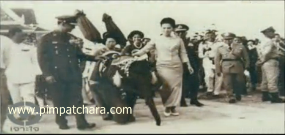 พระเศวตสุรคชาธาร พระเศวตสุรคชาธาร